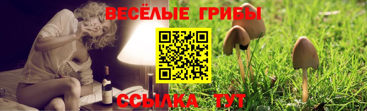Галлюциногенные грибы Psilocybe  Вход с VPN  Ульяновск 